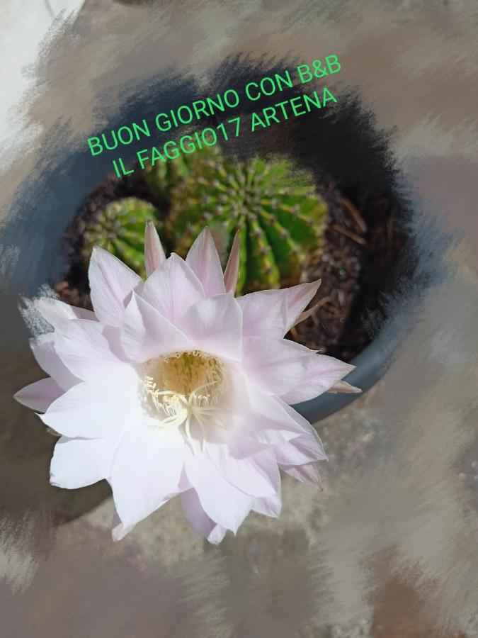 Il Faggio 17 B&B Artena Exteriör bild