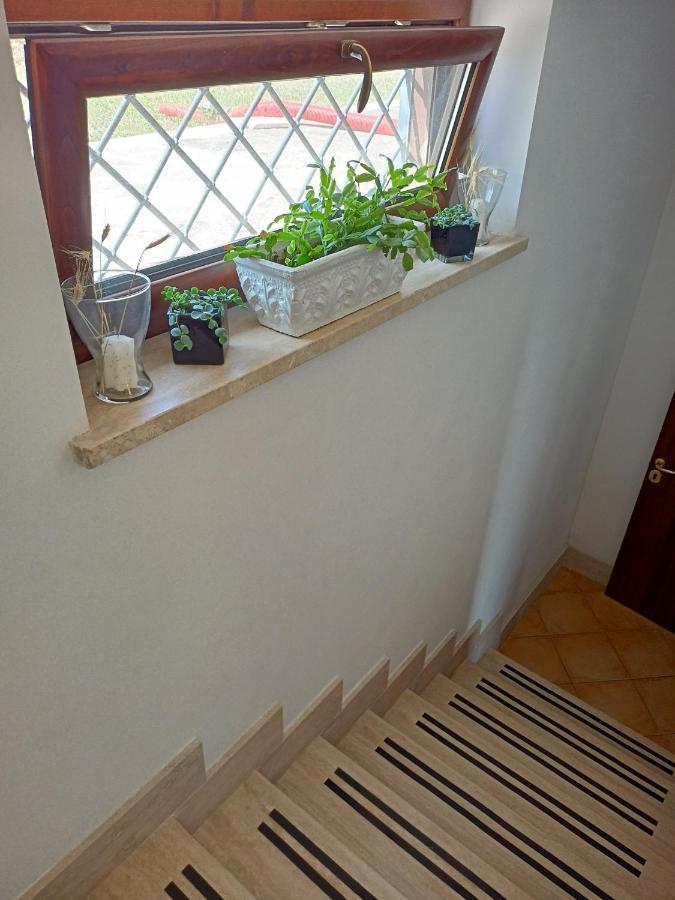 Il Faggio 17 B&B Artena Exteriör bild