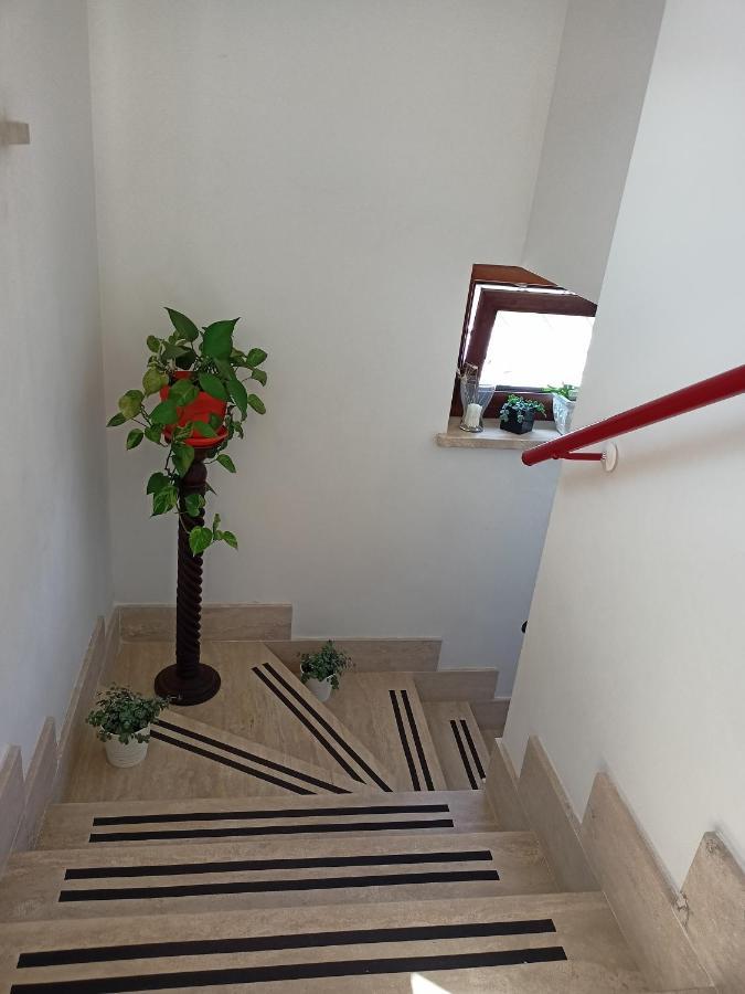 Il Faggio 17 B&B Artena Exteriör bild