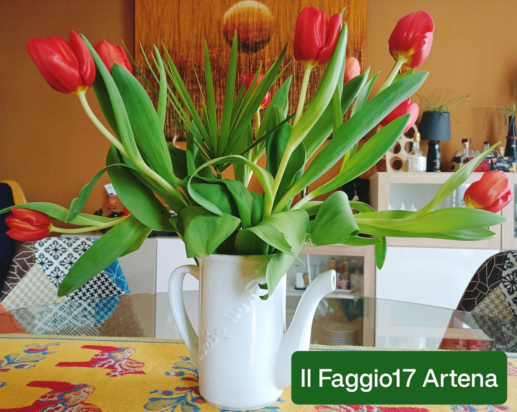 Il Faggio 17 B&B Artena Exteriör bild
