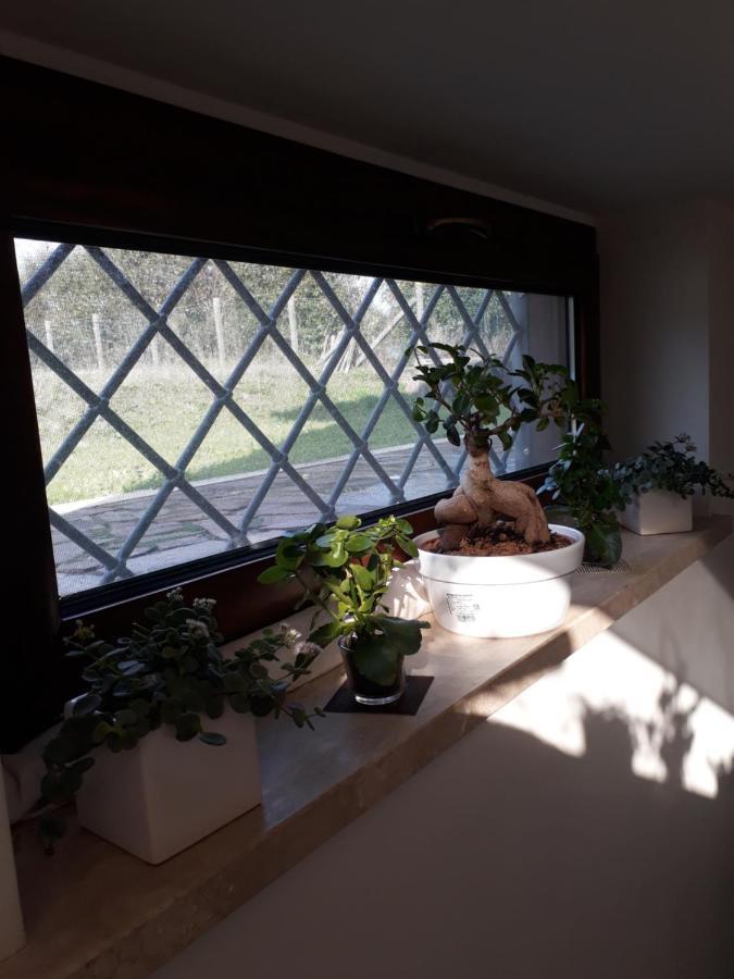 Il Faggio 17 B&B Artena Exteriör bild