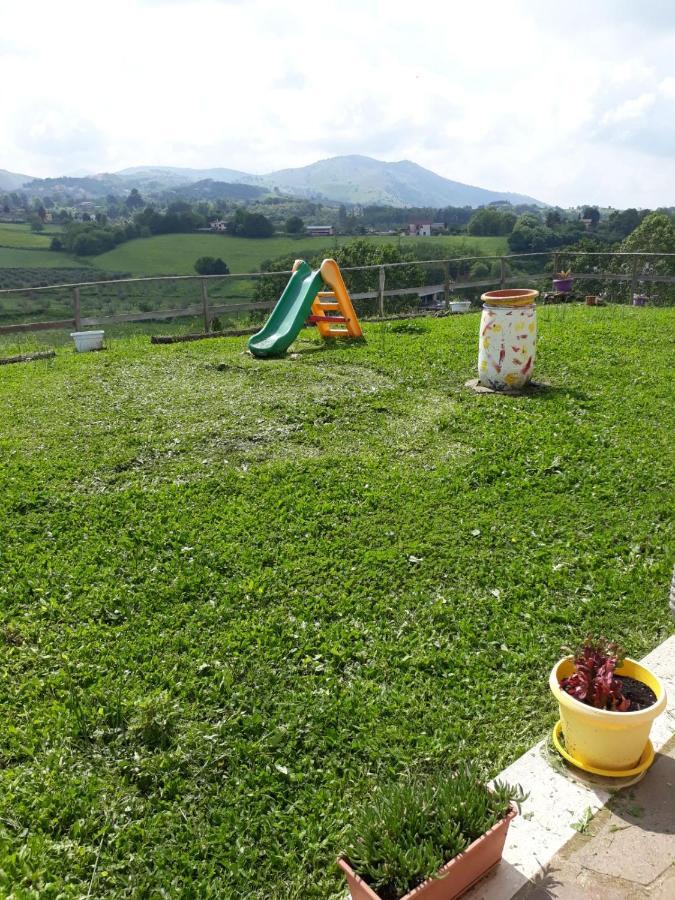 Il Faggio 17 B&B Artena Exteriör bild